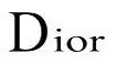 CHRISTIAN DIOR